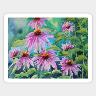 Echinacea Watercolor Painting Sticker